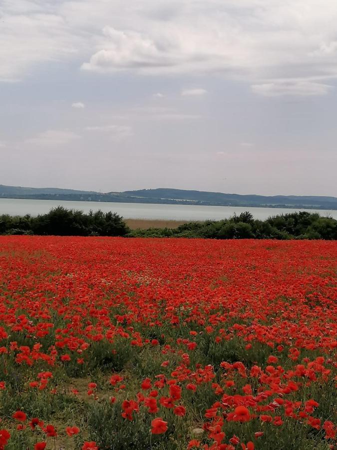 Aszofoi Panorama Apartmanhaz Esterno foto